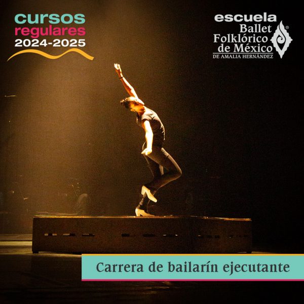 Cursos regulares 2024 - Carrera de bailarín ejecutante