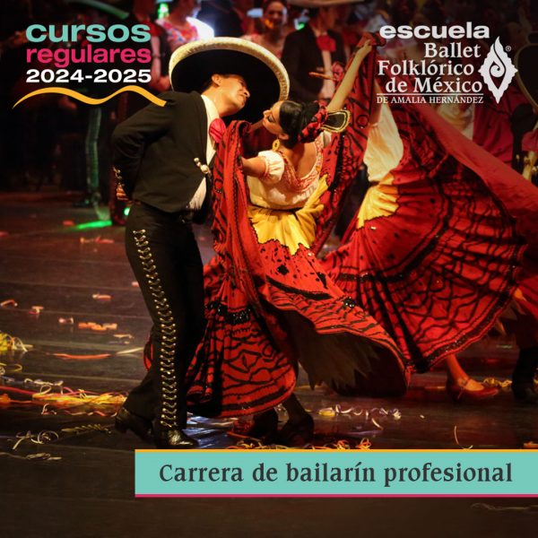 Cursos regulares 2024 - Carrera de bailarín profesional