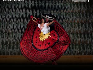 Carrera de bailarín formación profesional en danza folklórica 2025