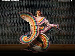 Danza folklórica nivel ejecutante