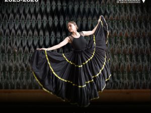 Danza folklórica