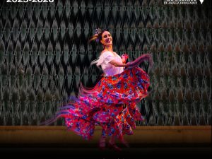 Danza folklórica a distancia