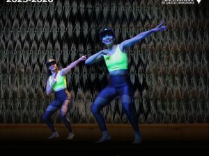 Danzas afro