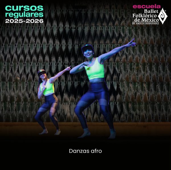 Danzas afro