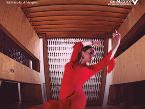 Curso de Flamenco