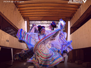 Taller de danza folklórica a distancia - Semana 2